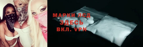 стафф Каменка