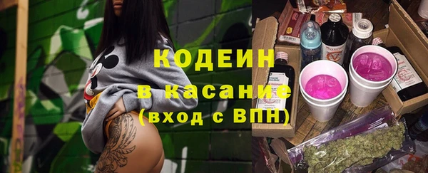 стафф Каменка